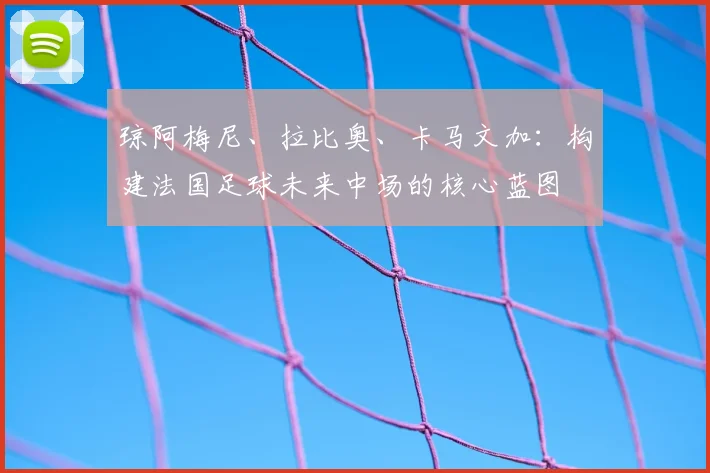 琼阿梅尼、拉比奥、卡马文加:构建法国足球未来中场的核心蓝图